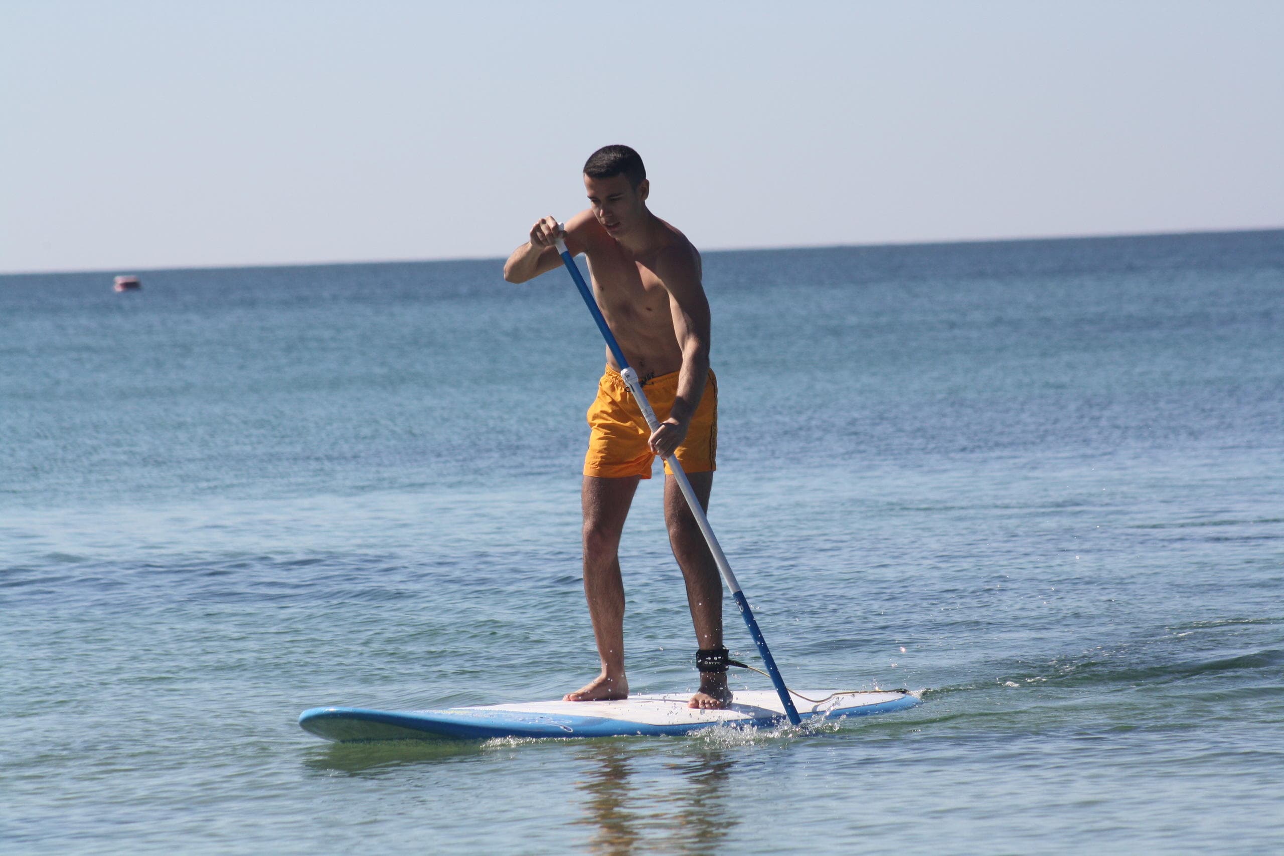 Stand Up Paddle Board Rental