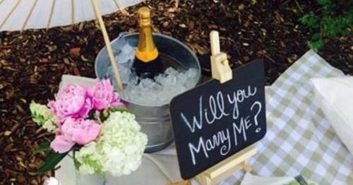 The Proposal Picnic