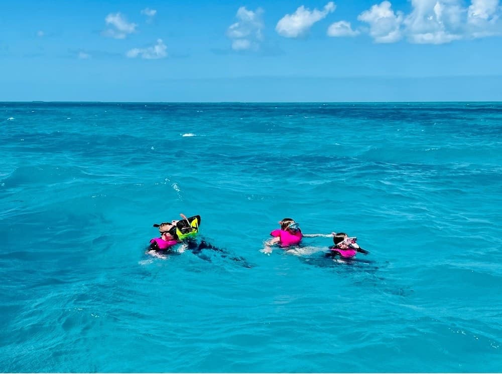 Combo: Snorkeling,  Boca Grand Sandbar & Dolphin Watching