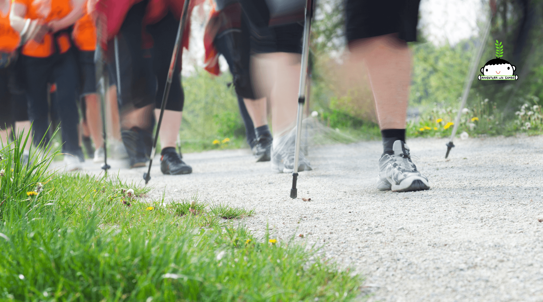 Camminata Nordica - Routine