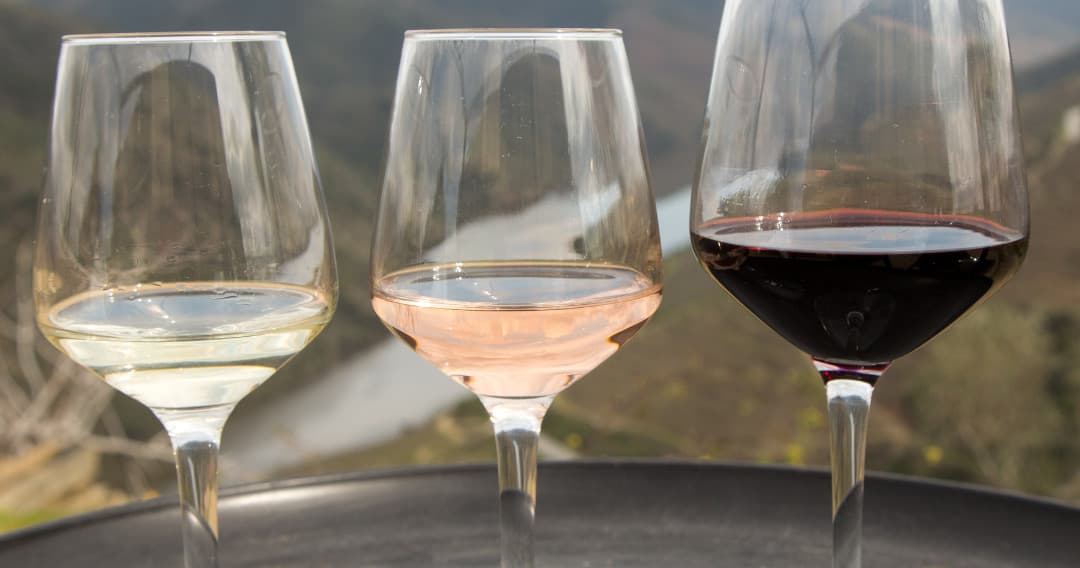 Wine Tasting on a Centenary Estate - 4 wines