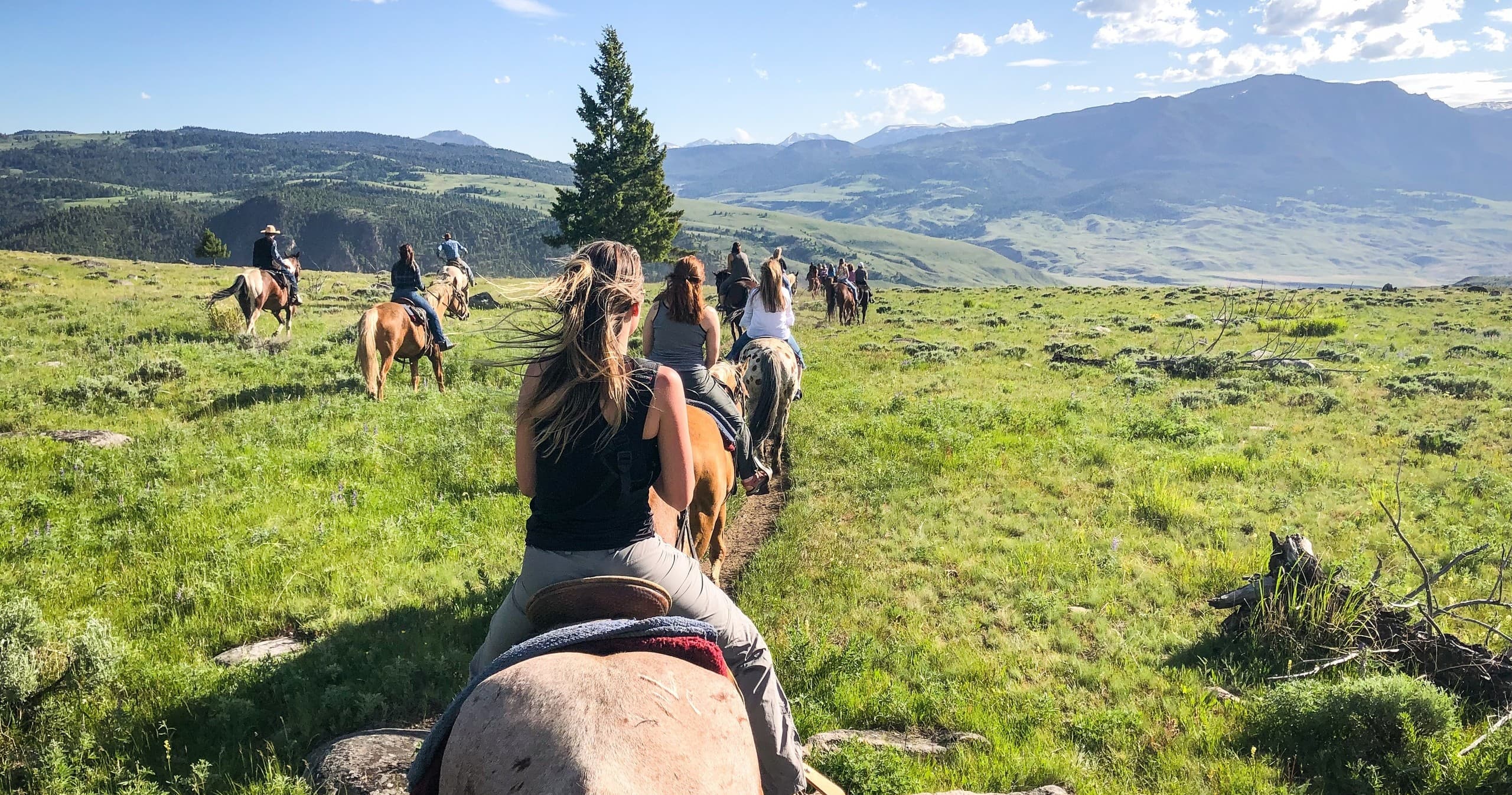 YRC: 2 Hour Group Horseback Ride