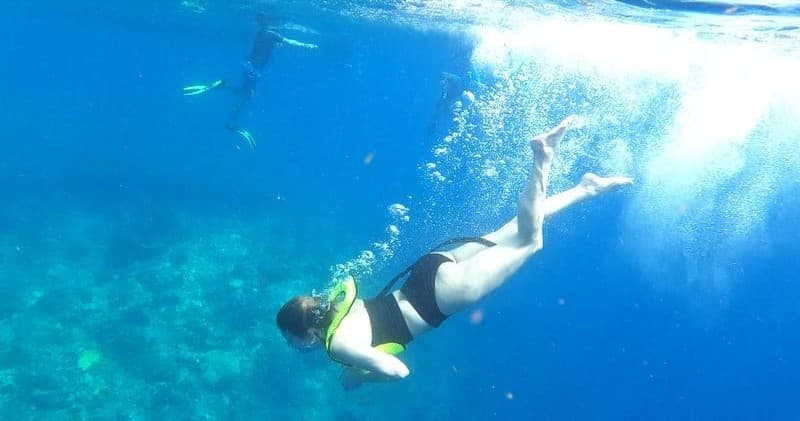 Snorkelling Equipment Hire (3 Hours)