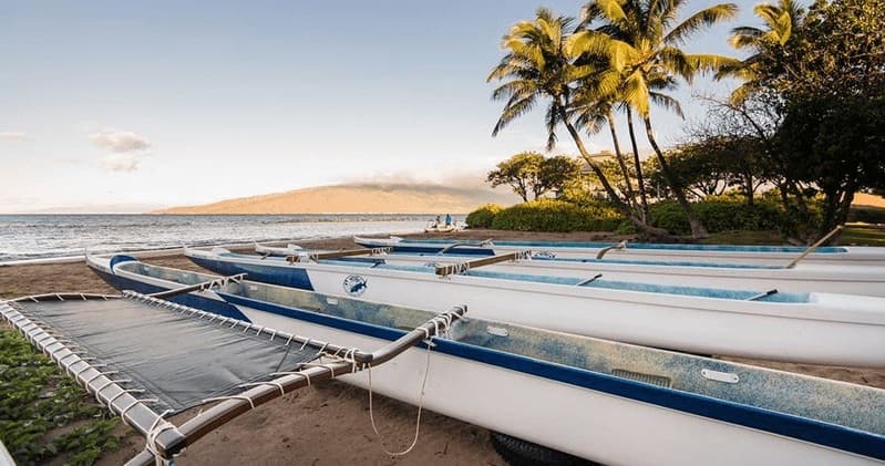 Outrigger Canoe Paddle and Fishpond Restoration