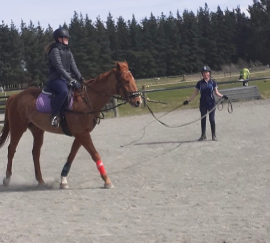 Private Lesson - 30 min