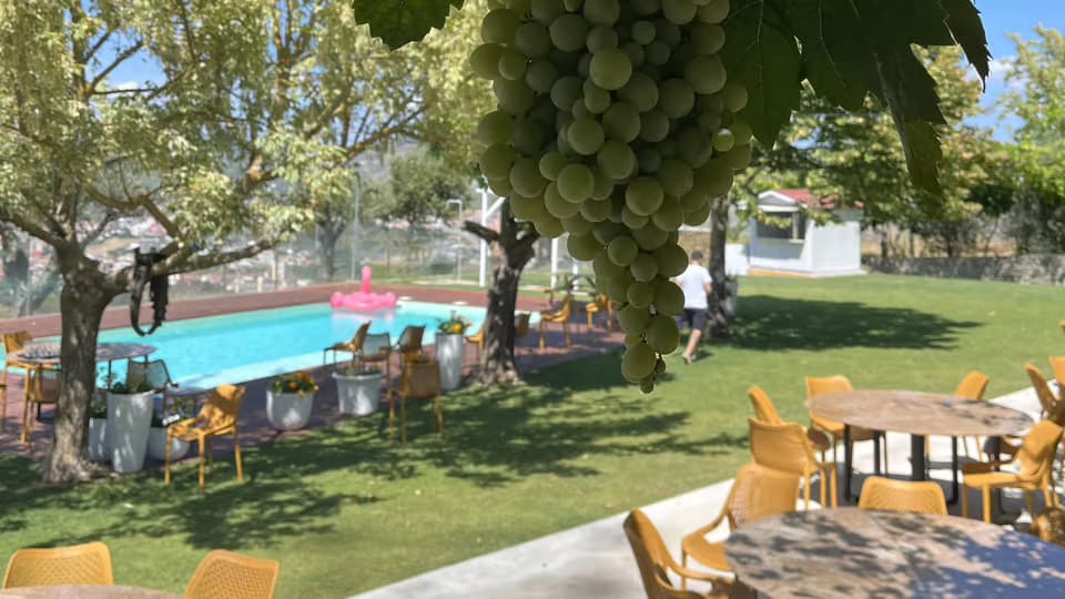 2 Wine Regions, Private Boat and Chef's Lunch