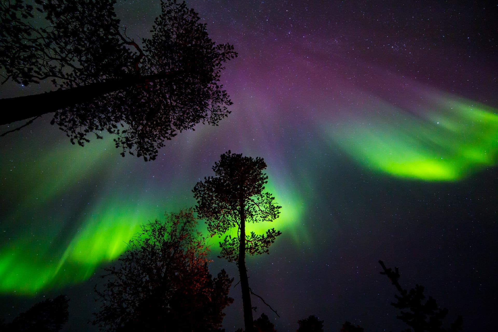[F5] Autumn Aurora Hike (3h)
