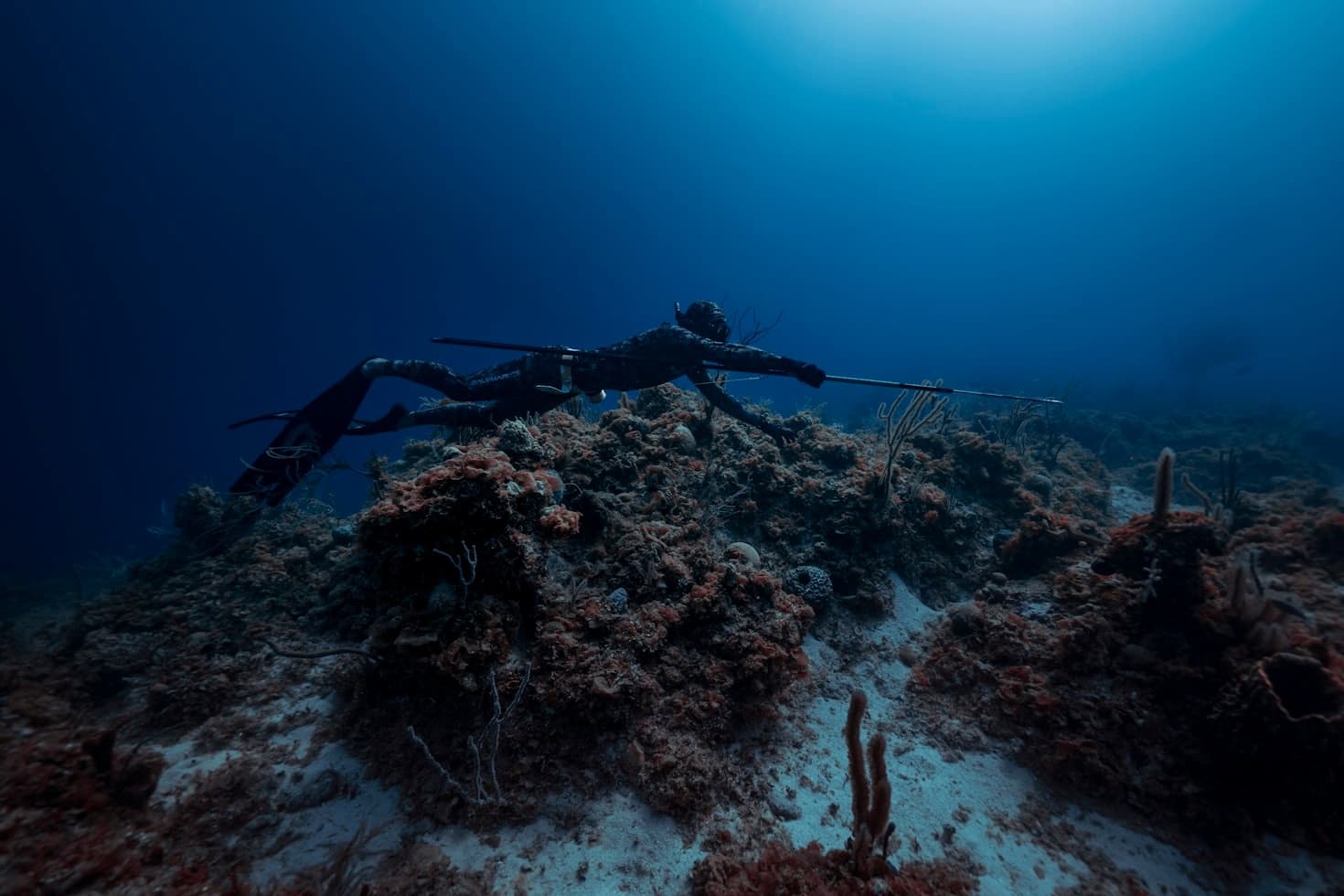 Spearfishing