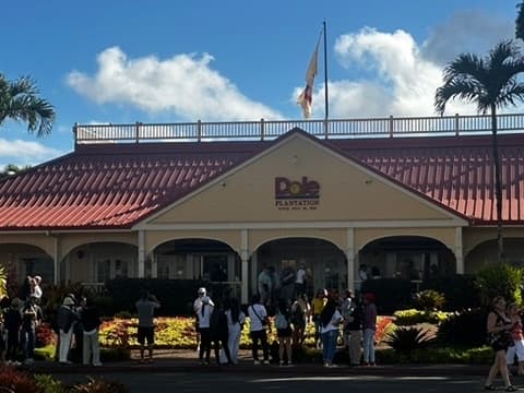 Explore North Shore Tour (incl. Dole)