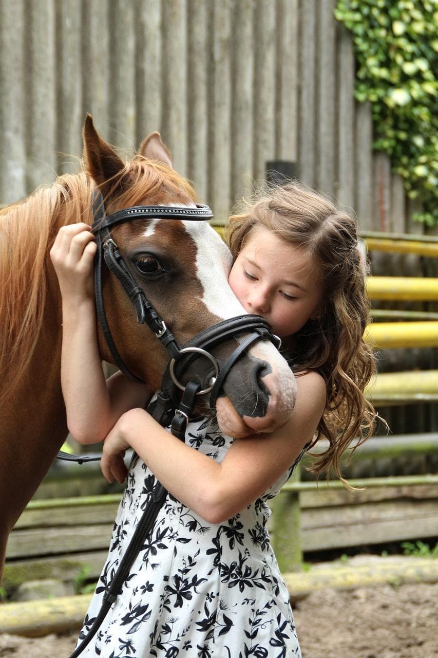 Horses for Photo Shoot • 1 Hour