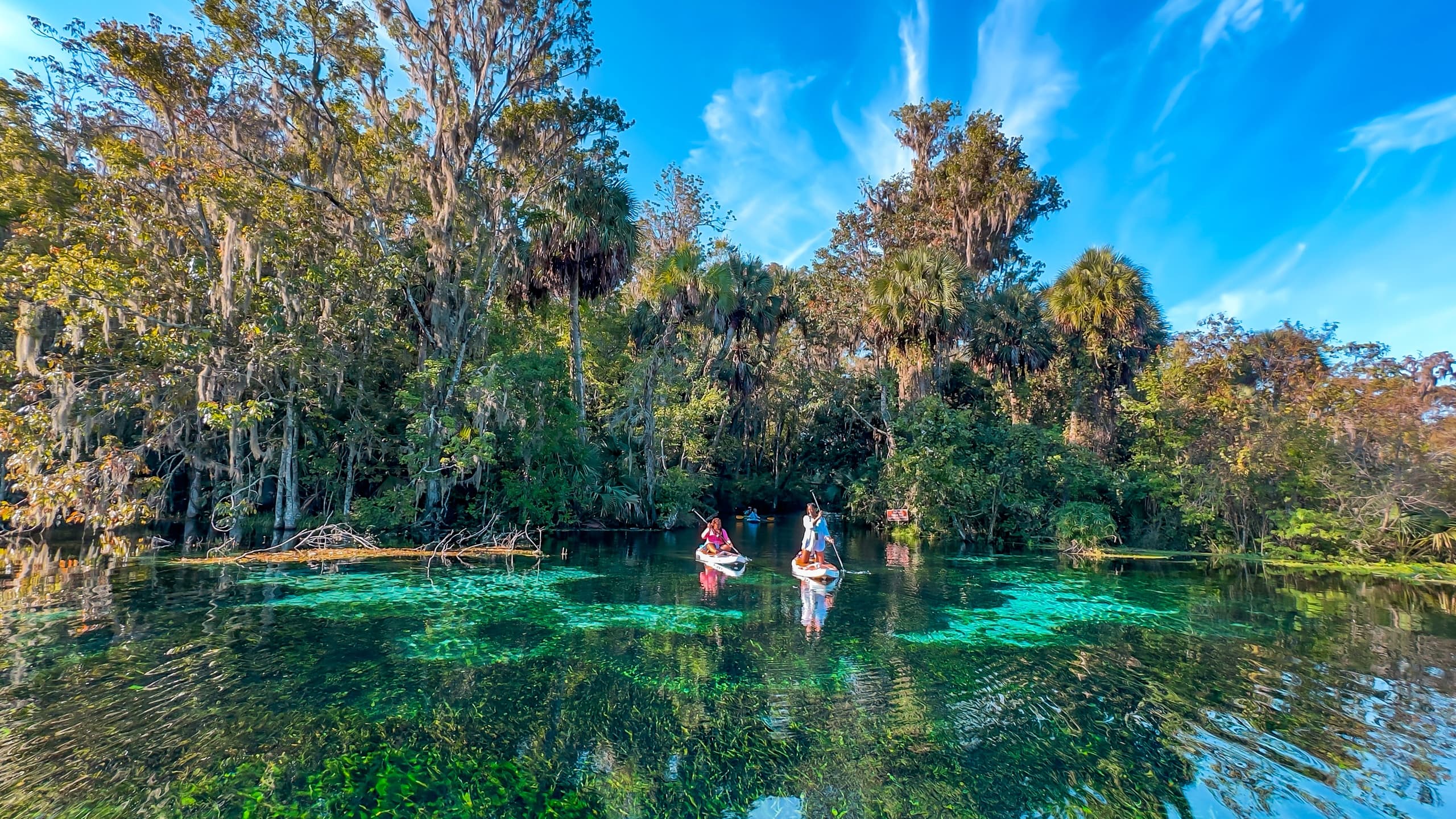 Silver Springs Shuttle Run Paddle Adventure