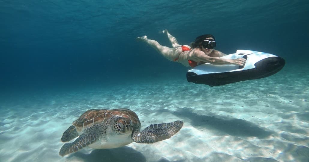 Curaçao Seabob Adventure | playa piskadó(Sea Turtles)