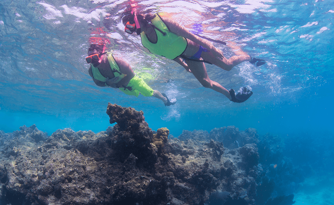 3 HOUR REEF SNORKEL - 2 STOP SNORKEL TRIP AT THE REEF !