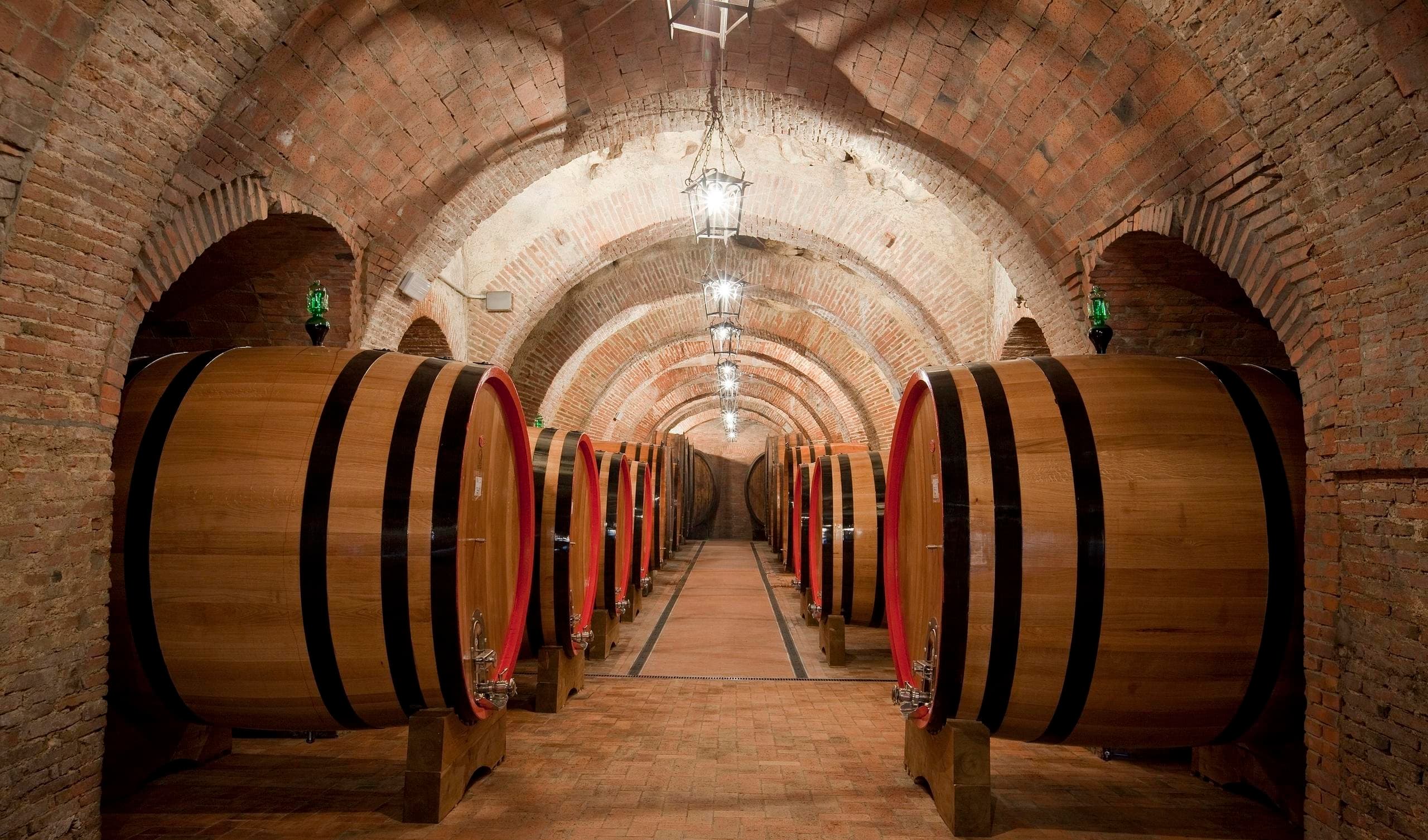 Montepulciano: Visita guidata e degustazione con pranzo in cantina