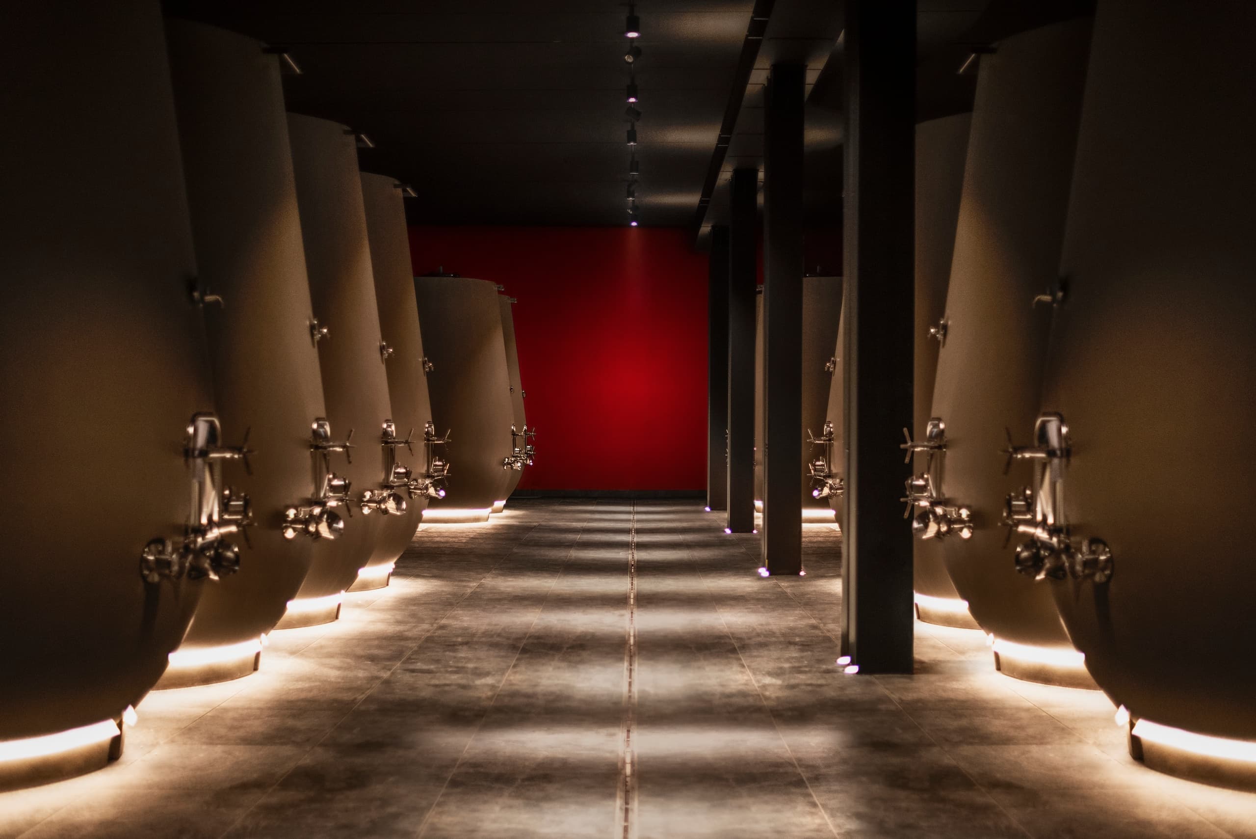 Verona: Visita guidata in cantina e degustazione di vini in Valpolicella