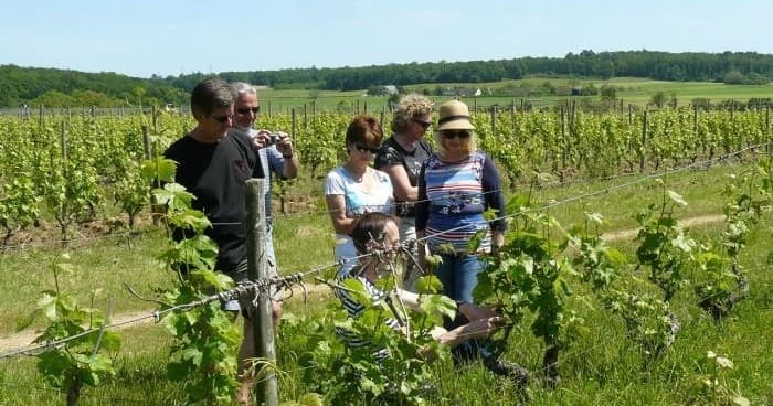 Loire Wine Discovery Tour