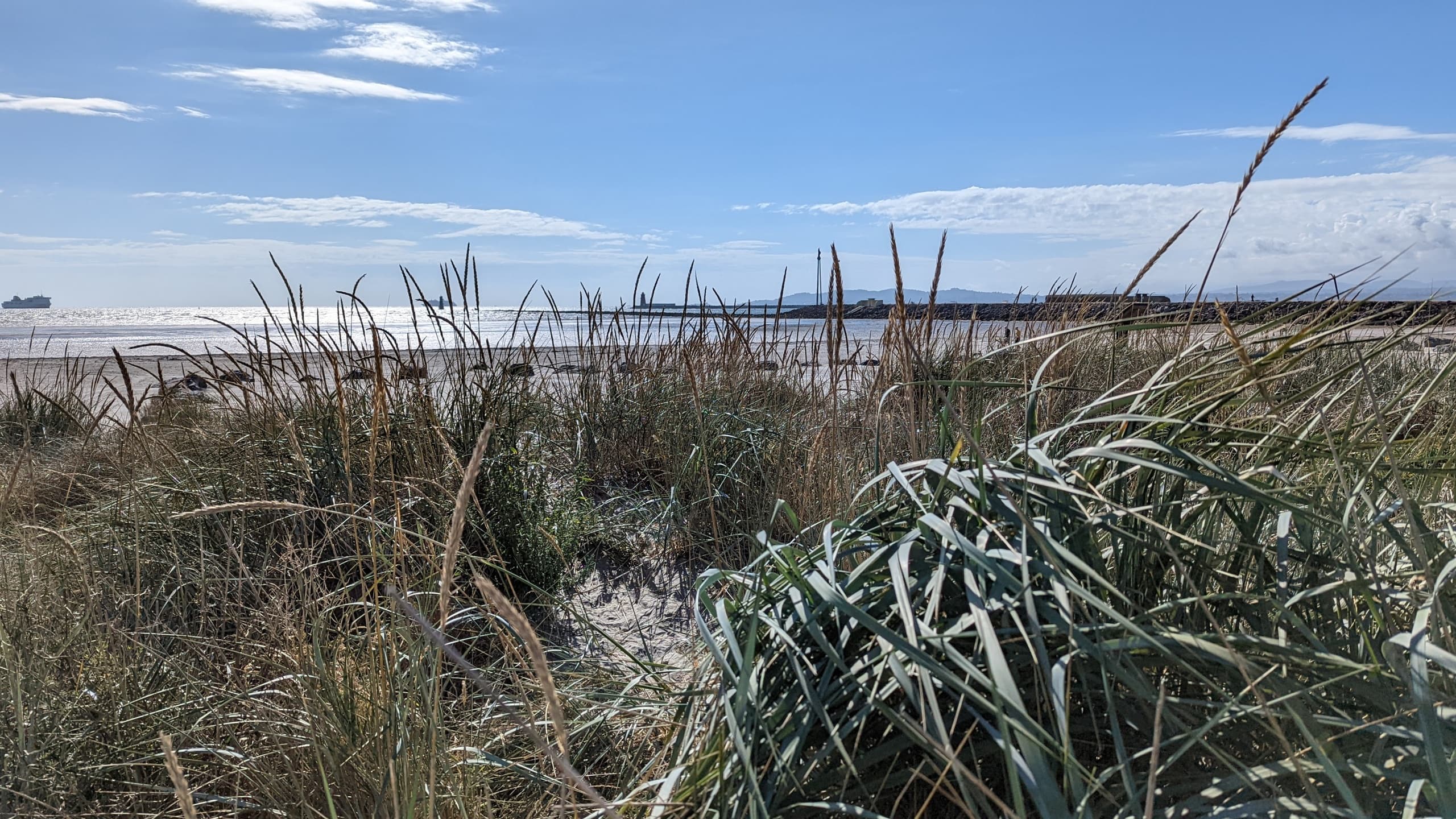 Bull Island