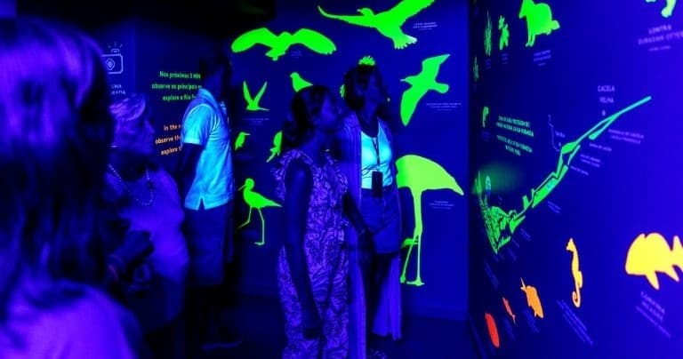 Visita ao Museu Multimédia + Degustação