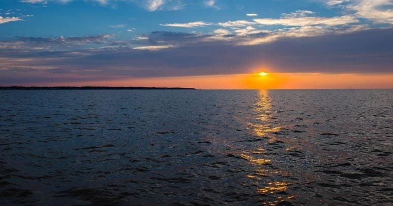 Sunset Dolphin Cruise