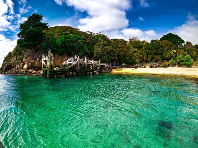 Water Taxi - Golden Bay TO Ulva Island