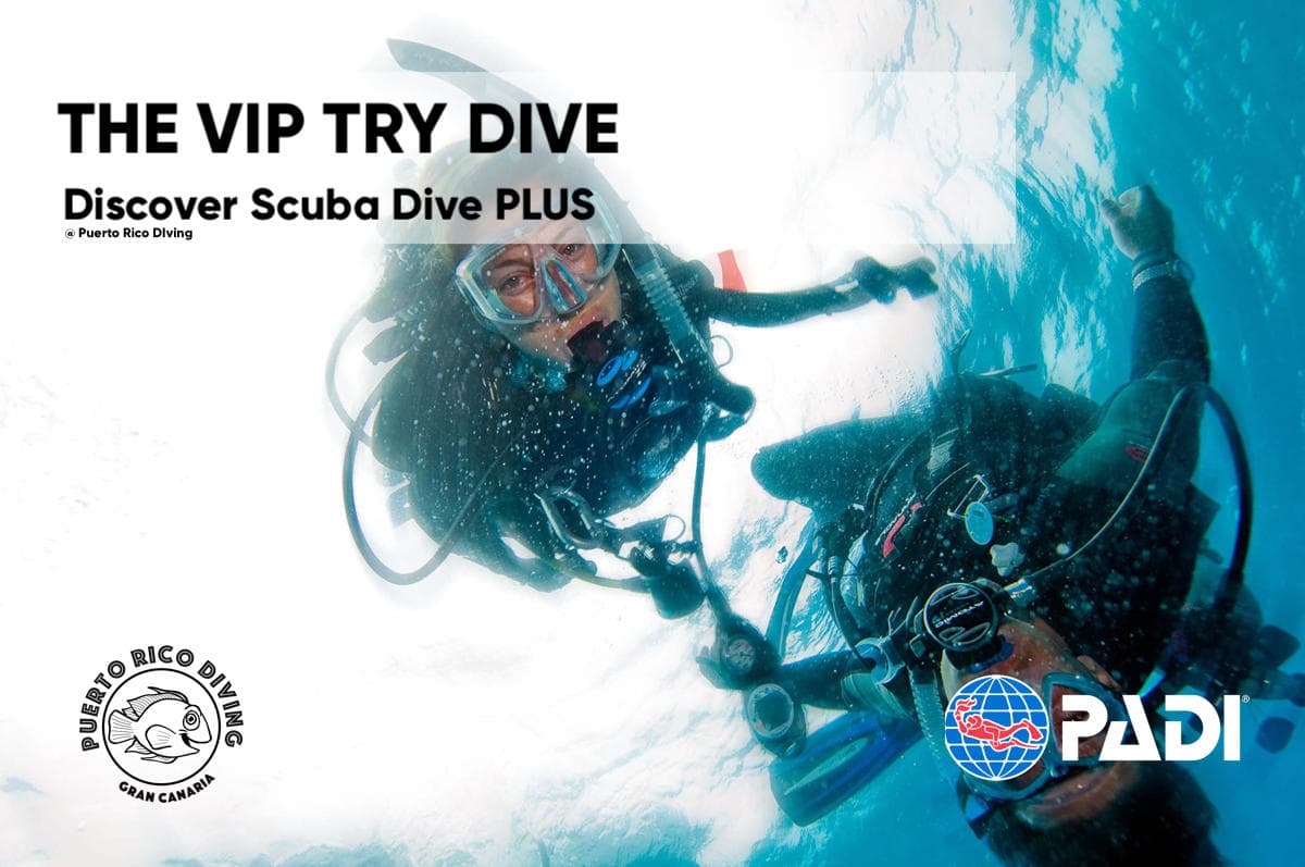 Discover Scuba PLUS