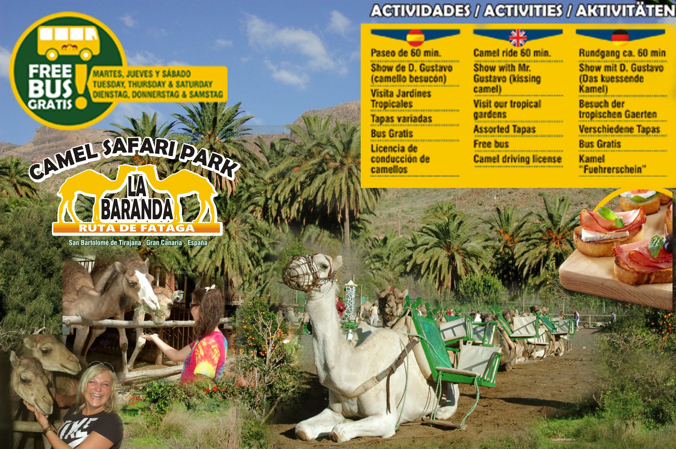 Tour en Camello + Comida + Transfer Zona Maspalomas
