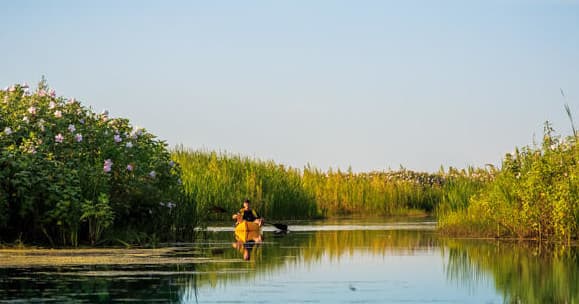 Kayak Rental (North Guana Outpost)