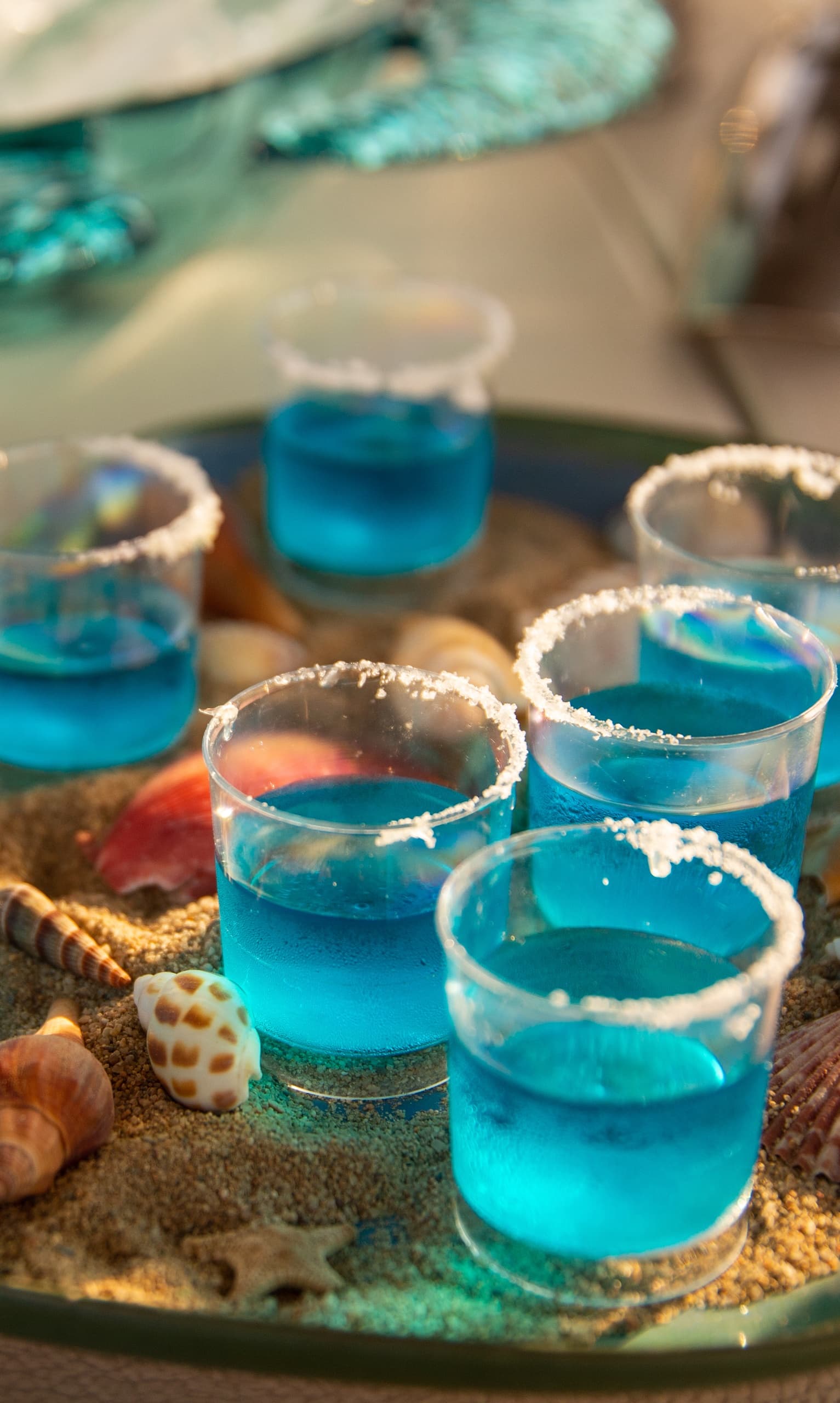 Cocktail Workshop & Sailing Cruise from Barcelona