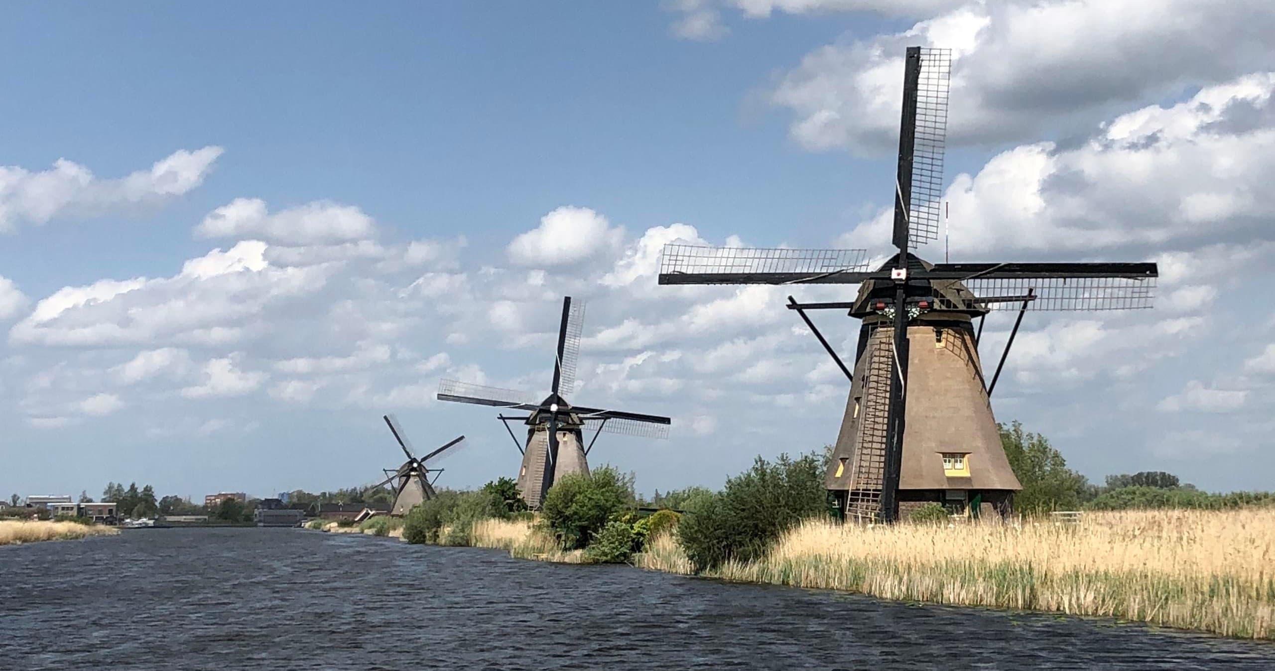 Kinderdijk Windmills, Delft City & Delft Blue Factory Visit