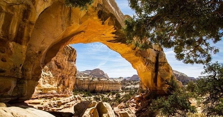 Capitol Reef National Park Tour