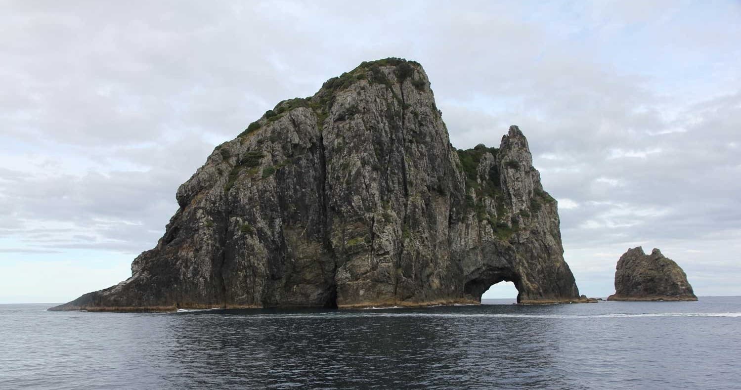 The Bay of Islands (Northland) Tour