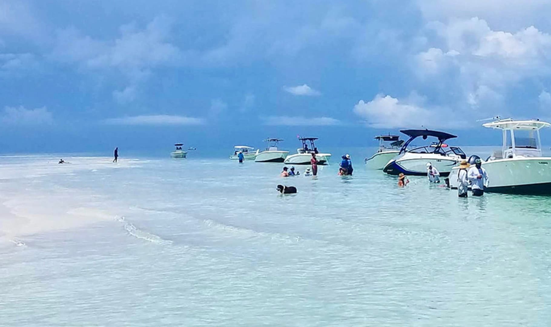 6 Hour Sandbar Trip on our 33 Ft Invincible