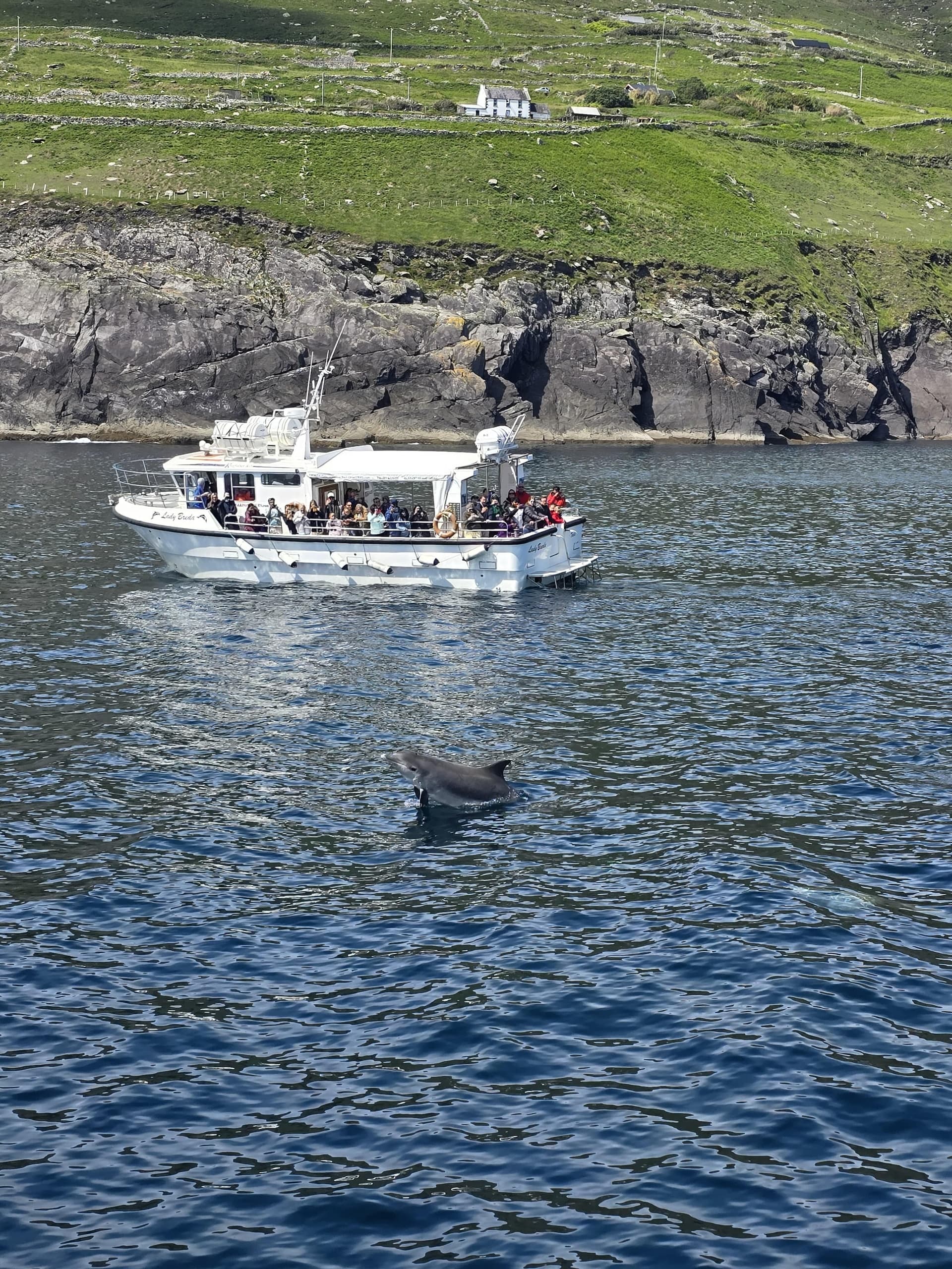 Blasket Island Eco Tour