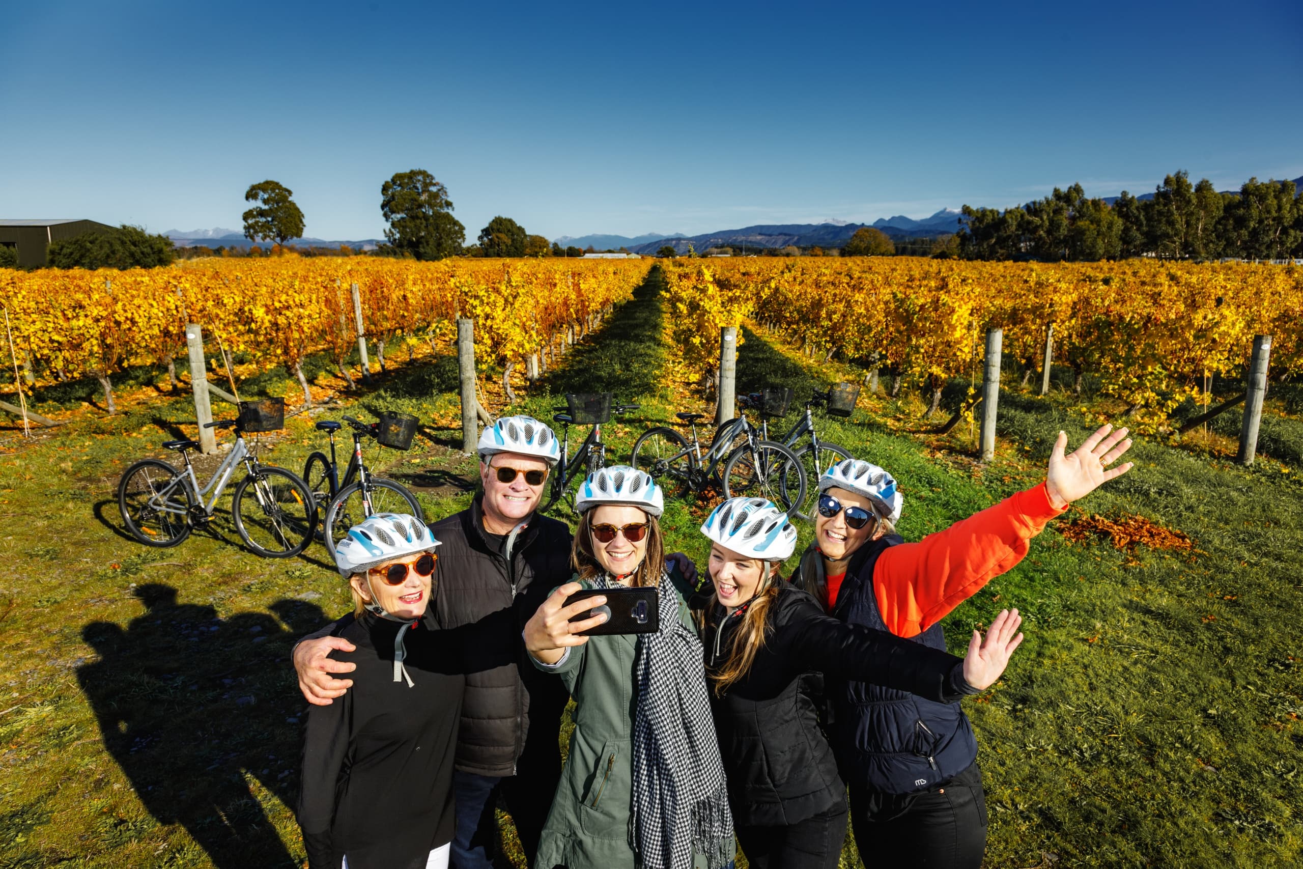 Self-Guided Biking Wine Tour - Full Day