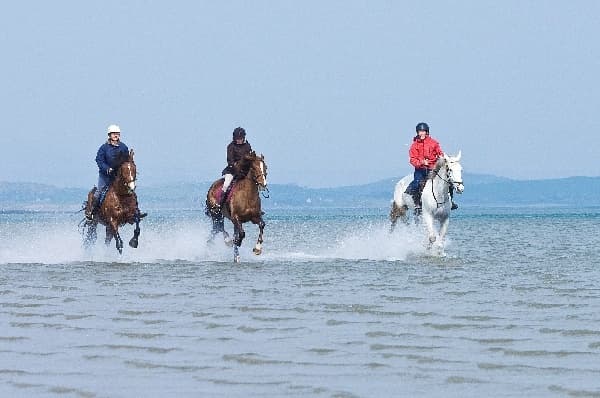 4-Night Equestrian Package