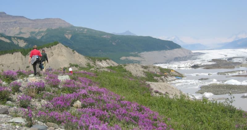 Nizina Glacier Fly-In Hiking