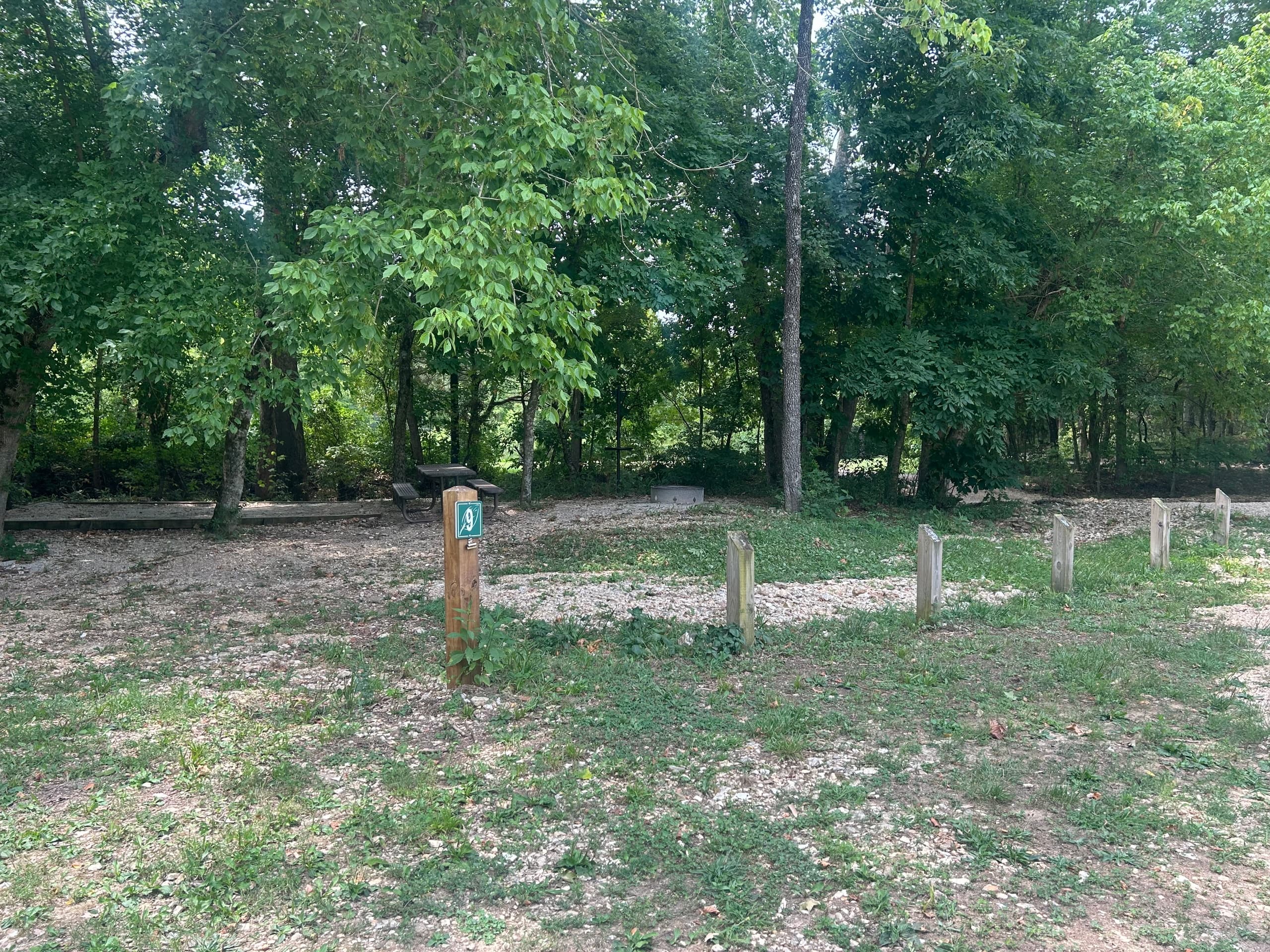 Shady Grove Campsite 9 (SG9)