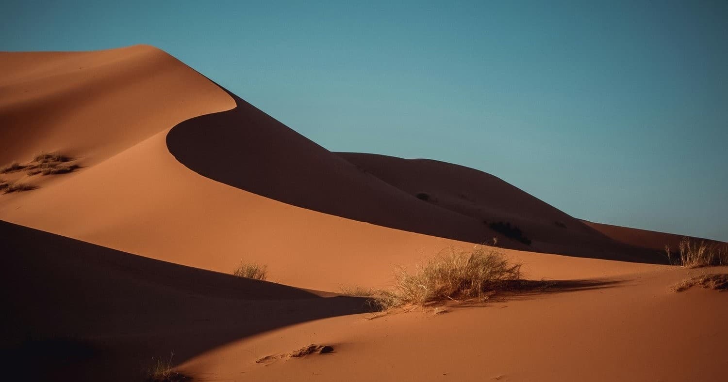 Coral Dunes