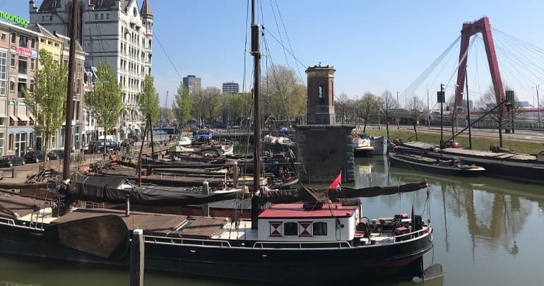 Privé-Tour: Rotterdam Art & Highlights Tour