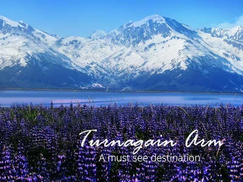 Winter - Alaska Wildlife Center and Turnagain Arm Tour w/Alyeska Tram