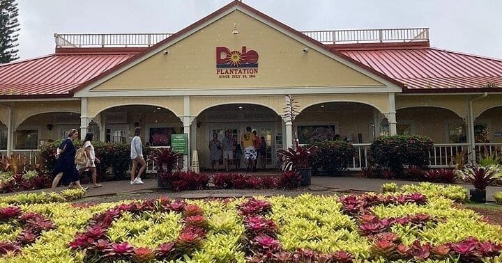 Private VIP Limousine Tour Dole Plantation" & the "North Shore""