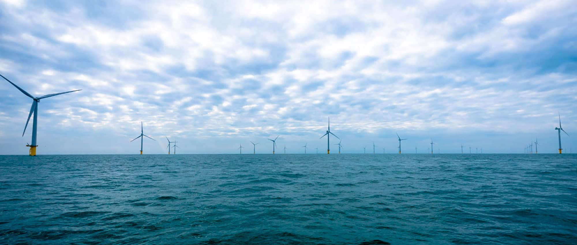 Rampion Windfarm Excursion