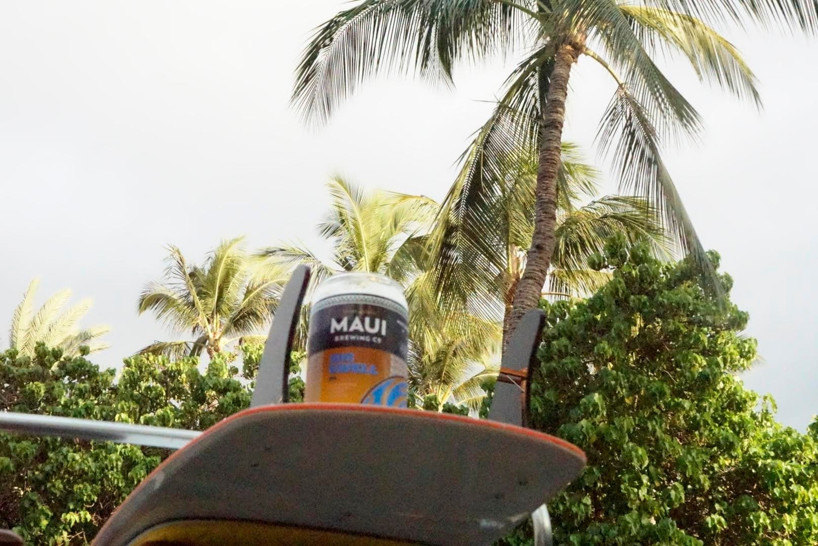 Brewery and beach cruise in a Vintage VW
