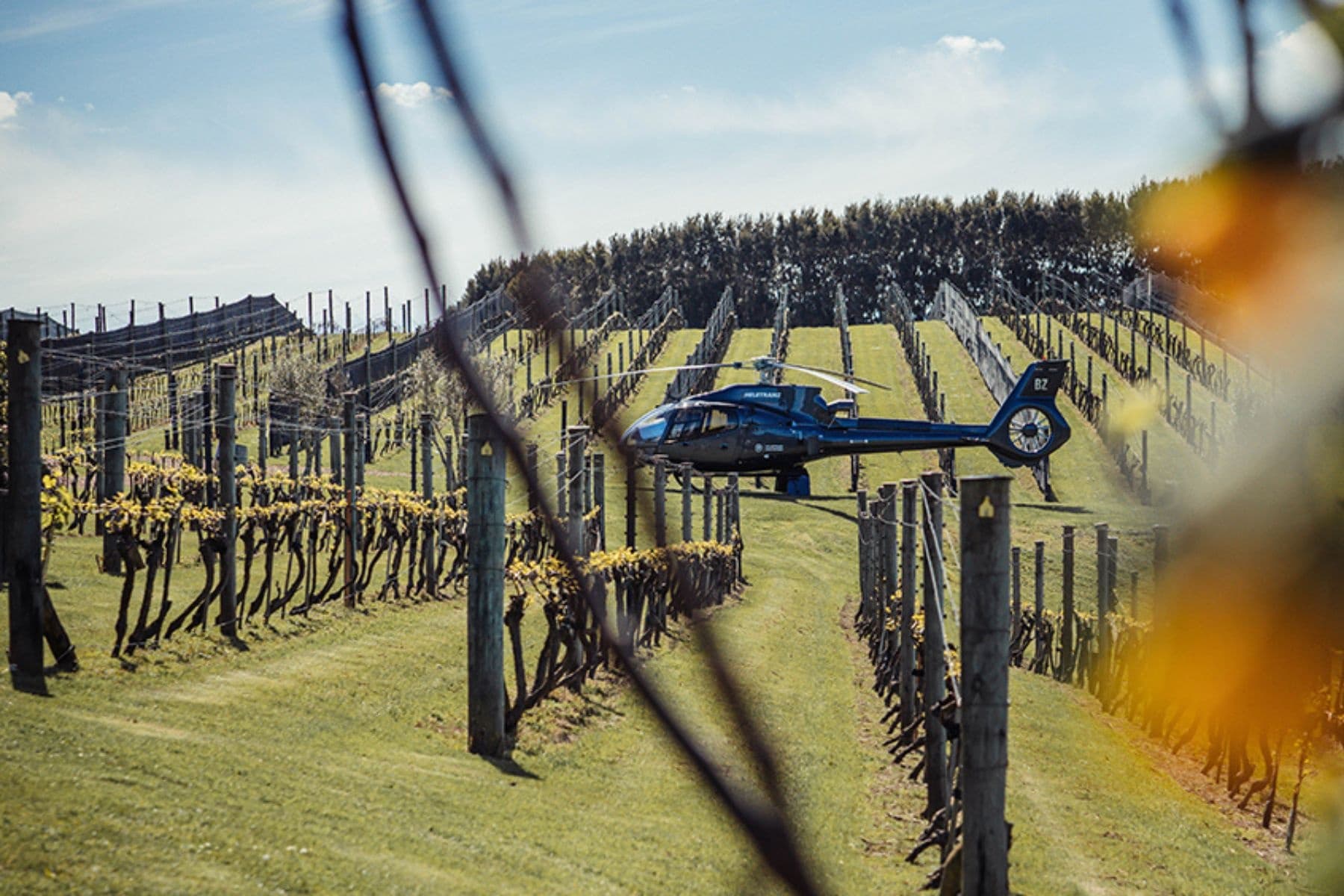 Heli-Ferry | Waiheke Dining Experience
