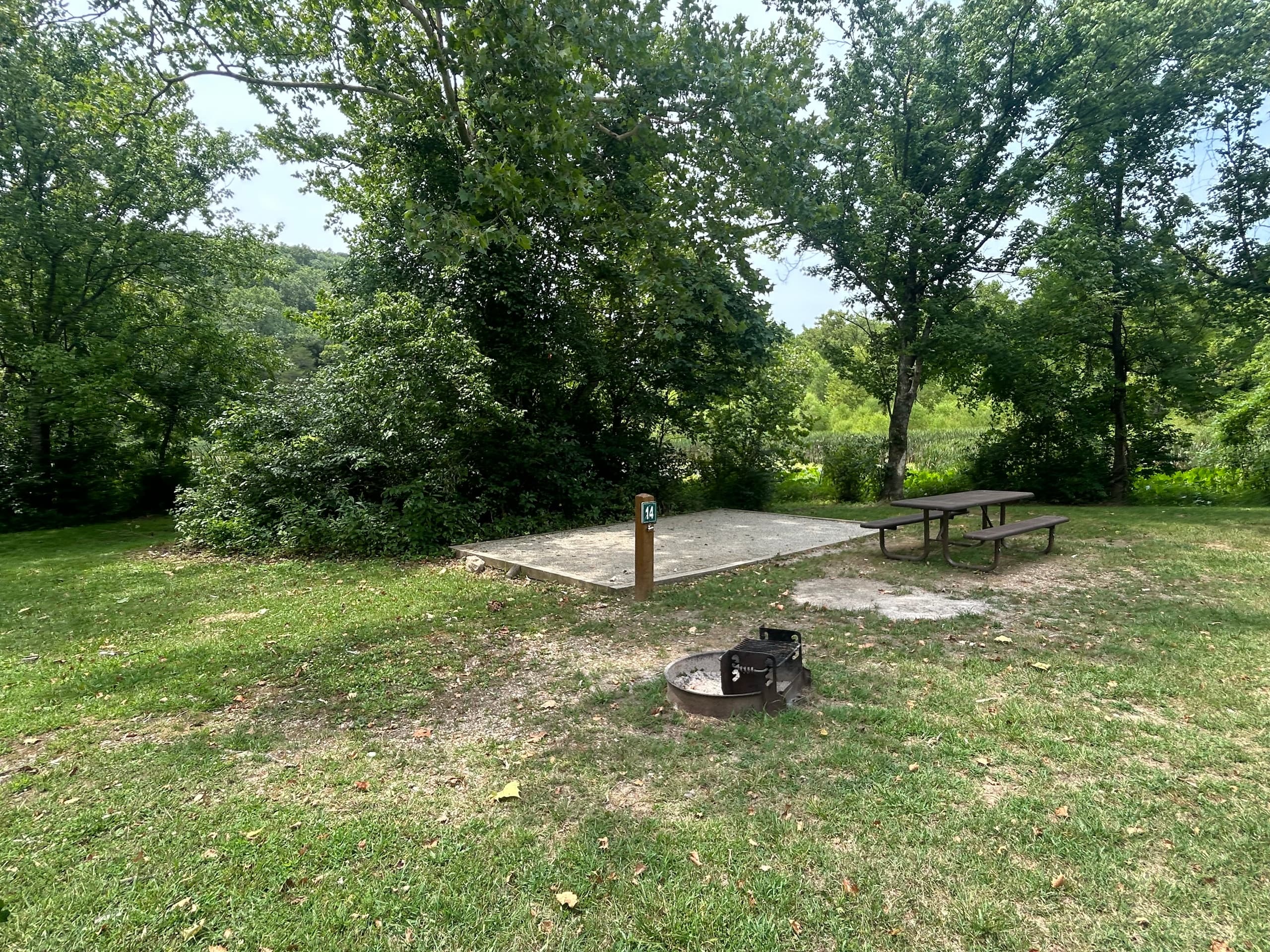 Meadow Campsite 14 (M14)