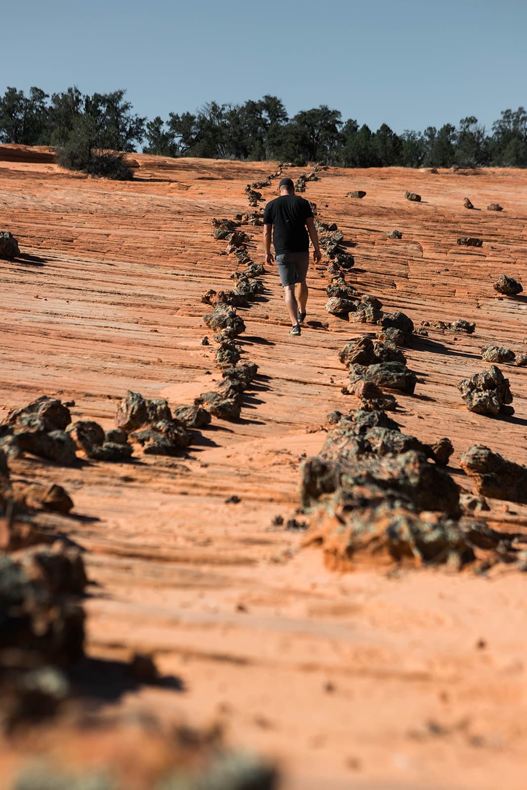 East Zion Outback - UTV Adventure