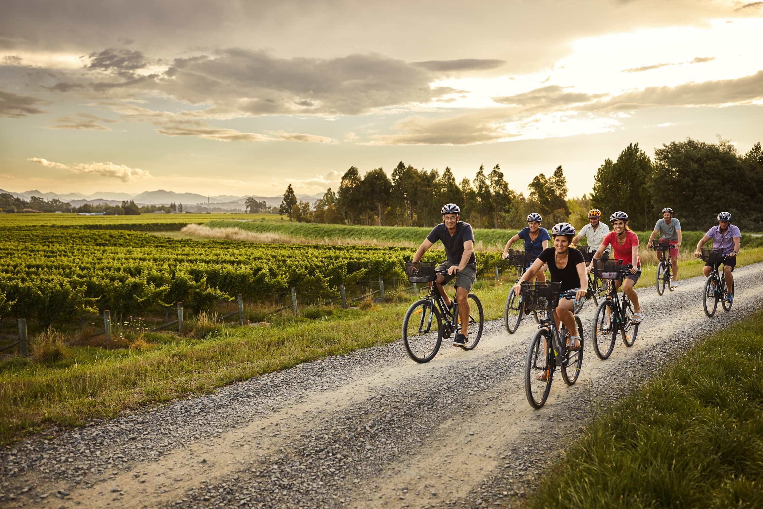 Morning Guided with Afternoon Self-Guided Biking Wine Tour
