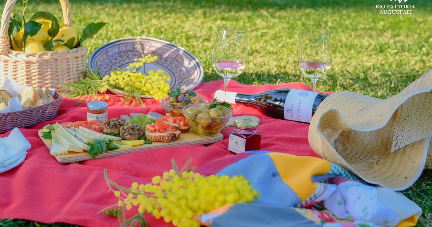 Picnic in the Vineyards