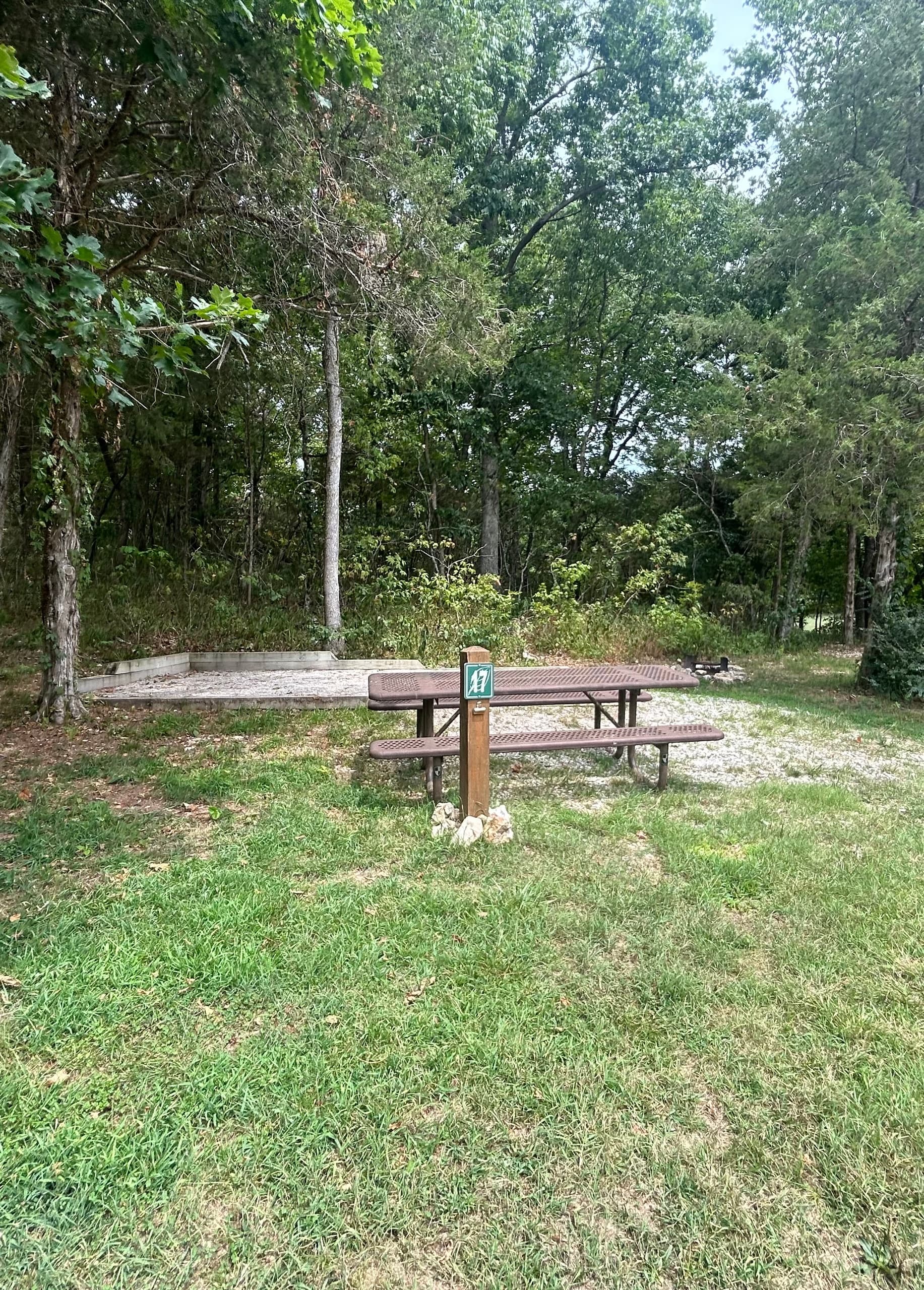 Meadow Campsite 17 (M17)