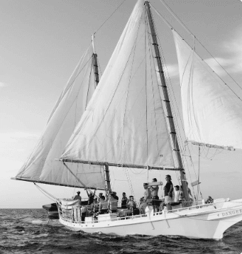 Perry Wind & Wine Schooner Sail